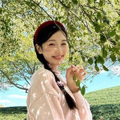 风葵的夏日物语